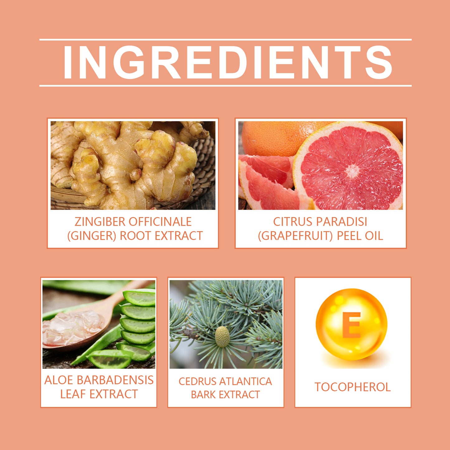Body Firming Cream with Ginger & Grapefruit Extract - Multiple Sizes