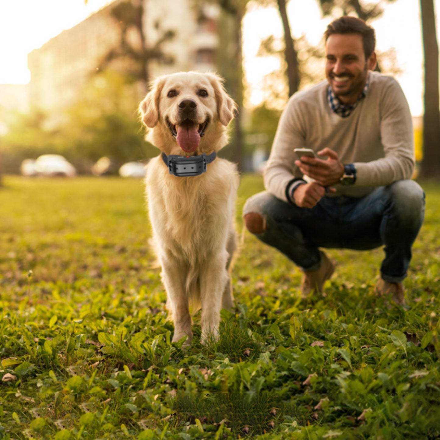 Wireless Dog Fence System with GPS Collar - Rechargeable & Adjustable Range