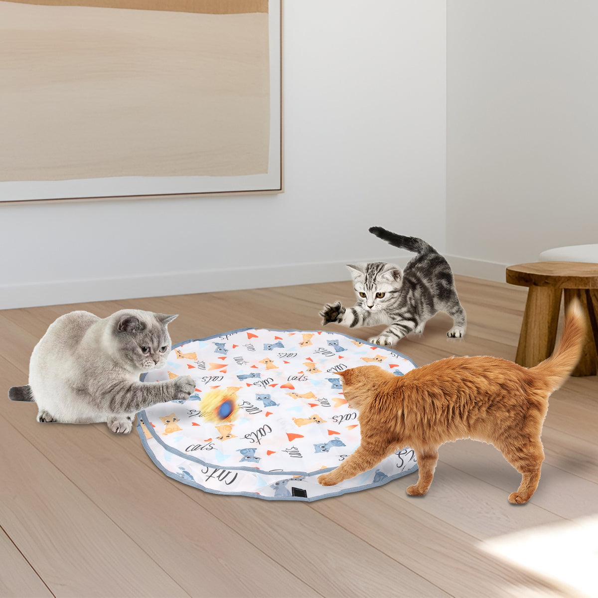 Interactive Cat Toy Ball with Rechargeable Motion Activation for Indoor Cats