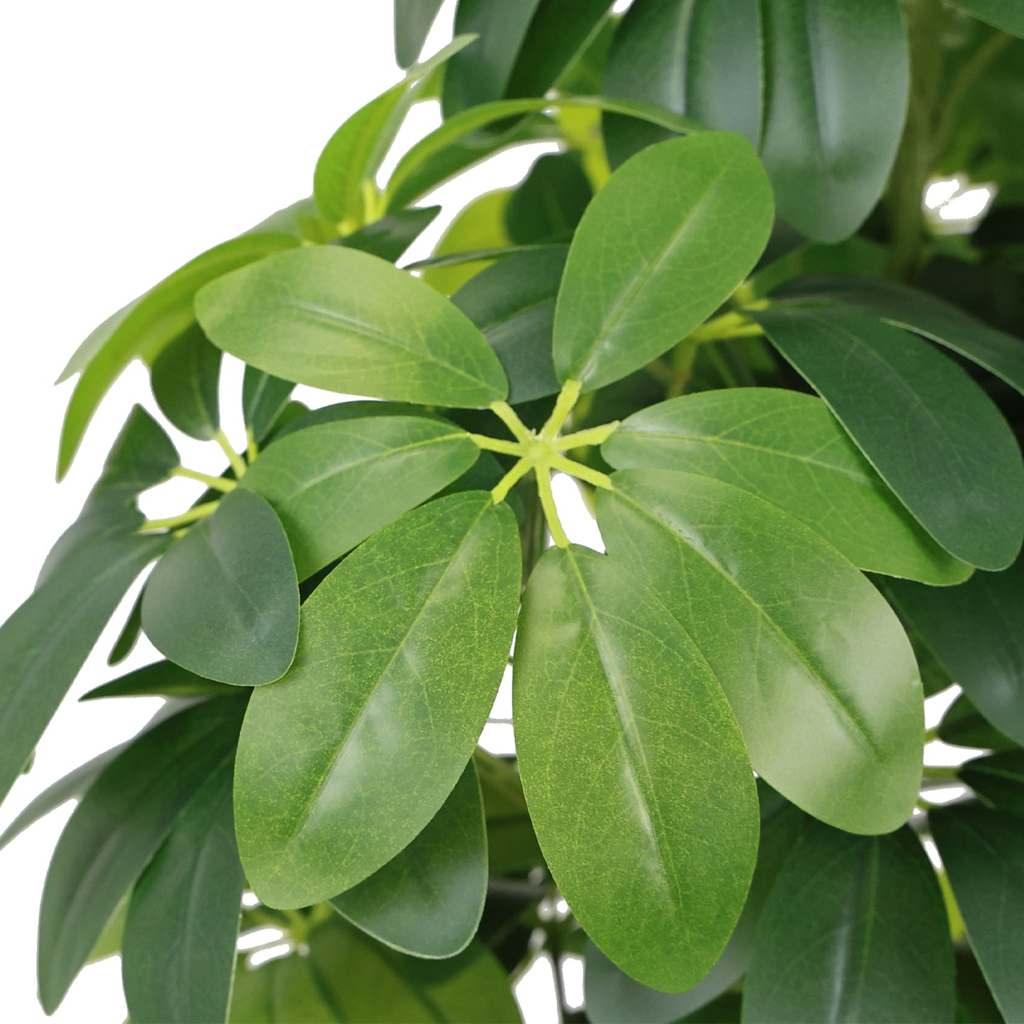 6FT Realistic Artificial Tree for Indoor & Outdoor Decoration