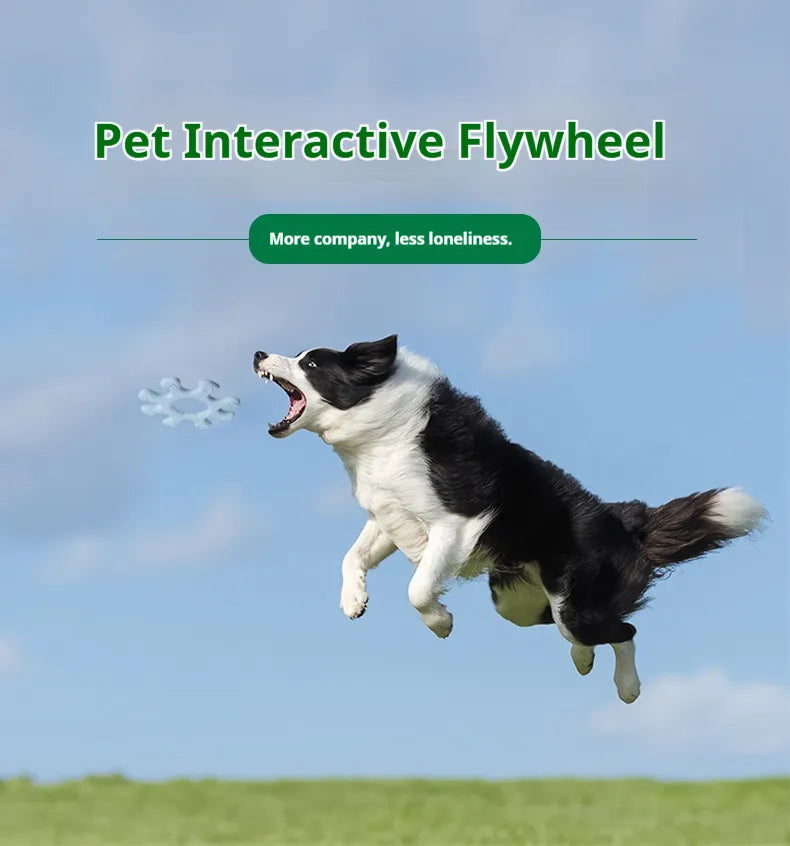 Interactive Dog Toy with Flywheel - Plush Chew Toy for Dogs, Fun Bonding Pet Accessory