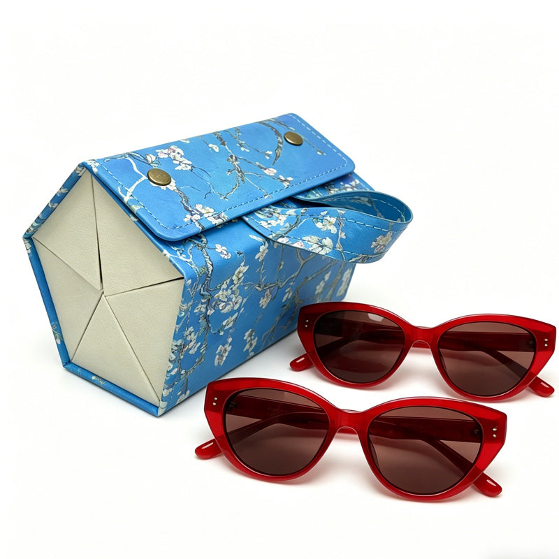 5in1 Sunglasses Travel Case Organizer Hangable, Eyeglasses Foldable