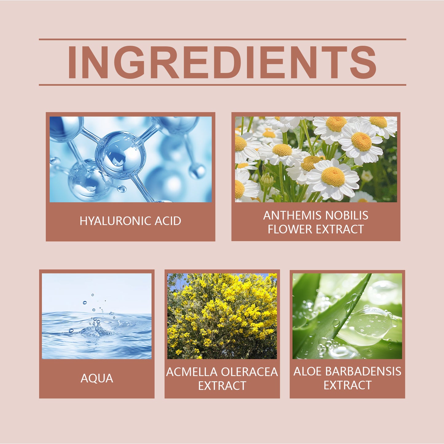 Anti-Aging Facial Repair Serum with Hyaluronic Acid & Acacia - 30ml