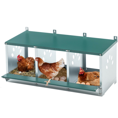 Galvanized Steel Chicken Nesting Box with 3 Compartments - Easy Assembly, Green