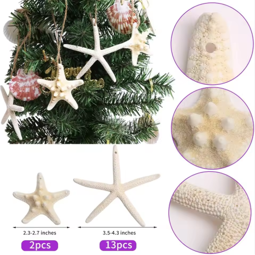 15pcs Hanging Starfish Ornaments - Natural Shell Decor for Christmas