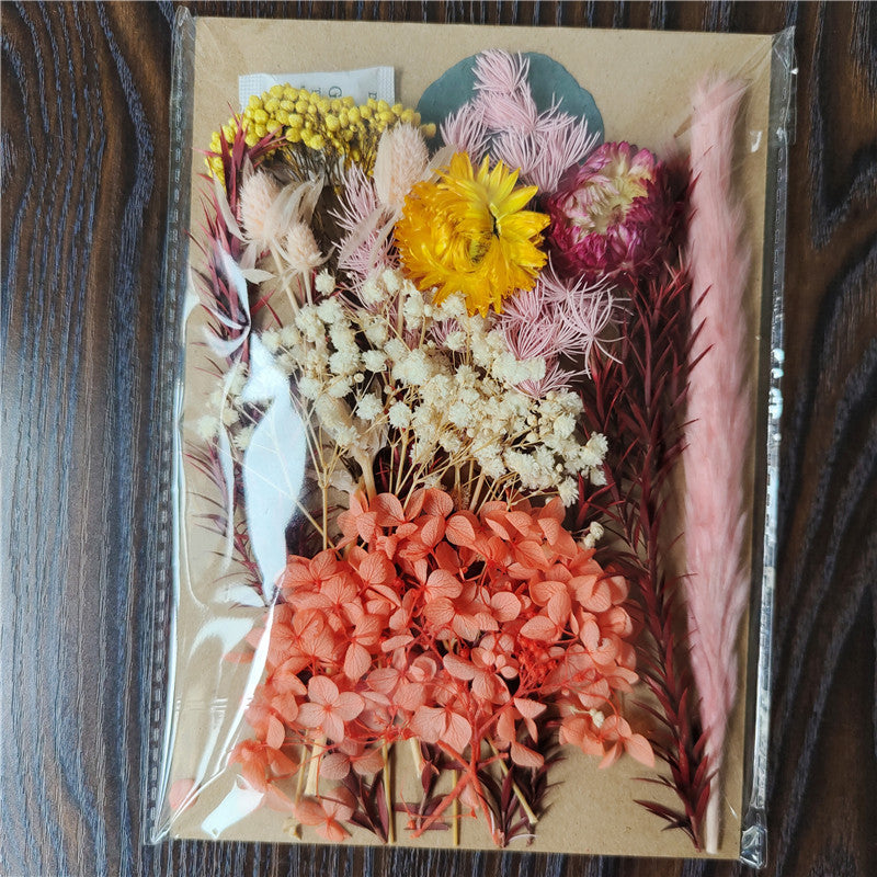 Dried Flower Material Pack for Candle & Photo Frame Decoration - Multiple Styles