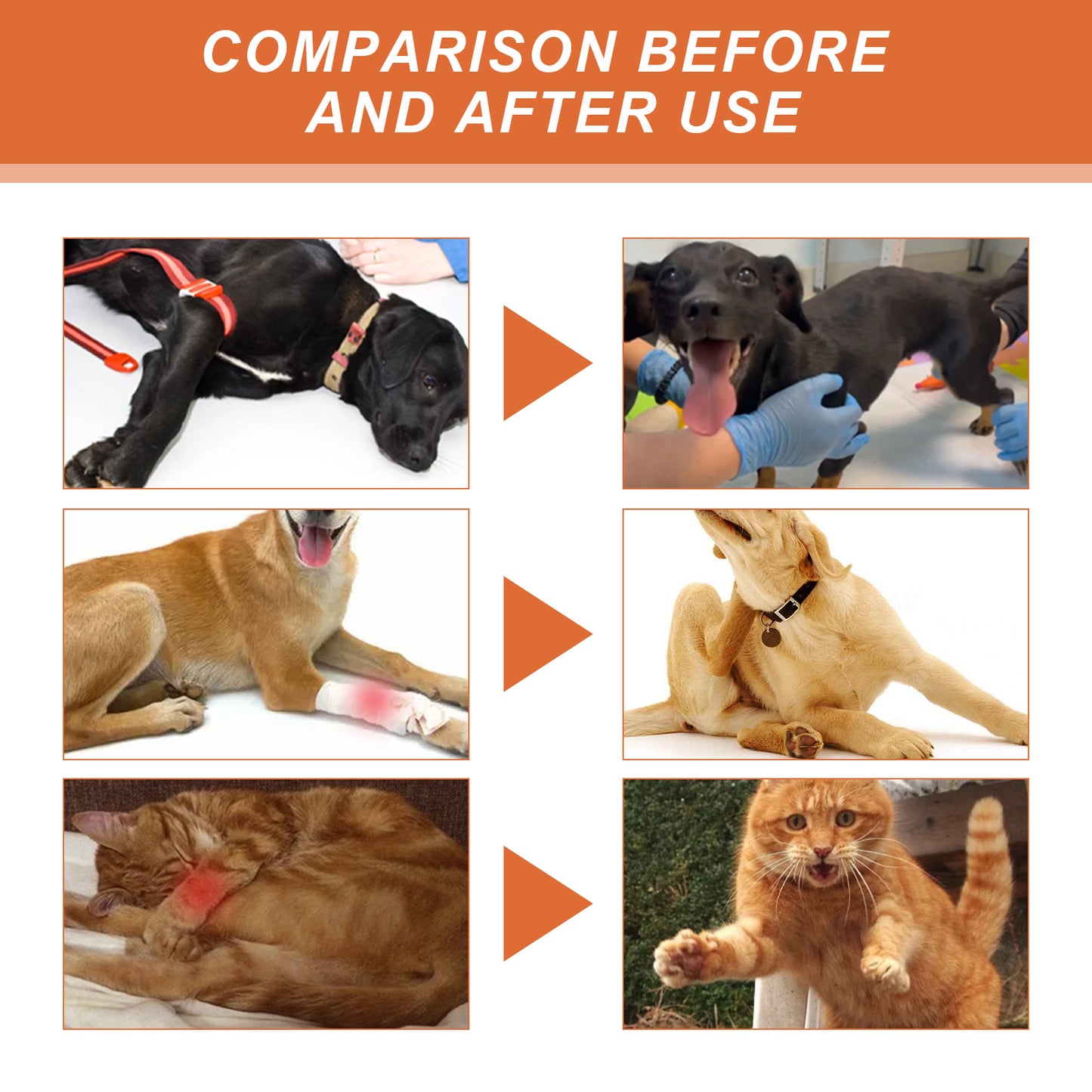 Pet Joint Support Spray for Dogs & Cats - Natural Relief & Mobility Aid