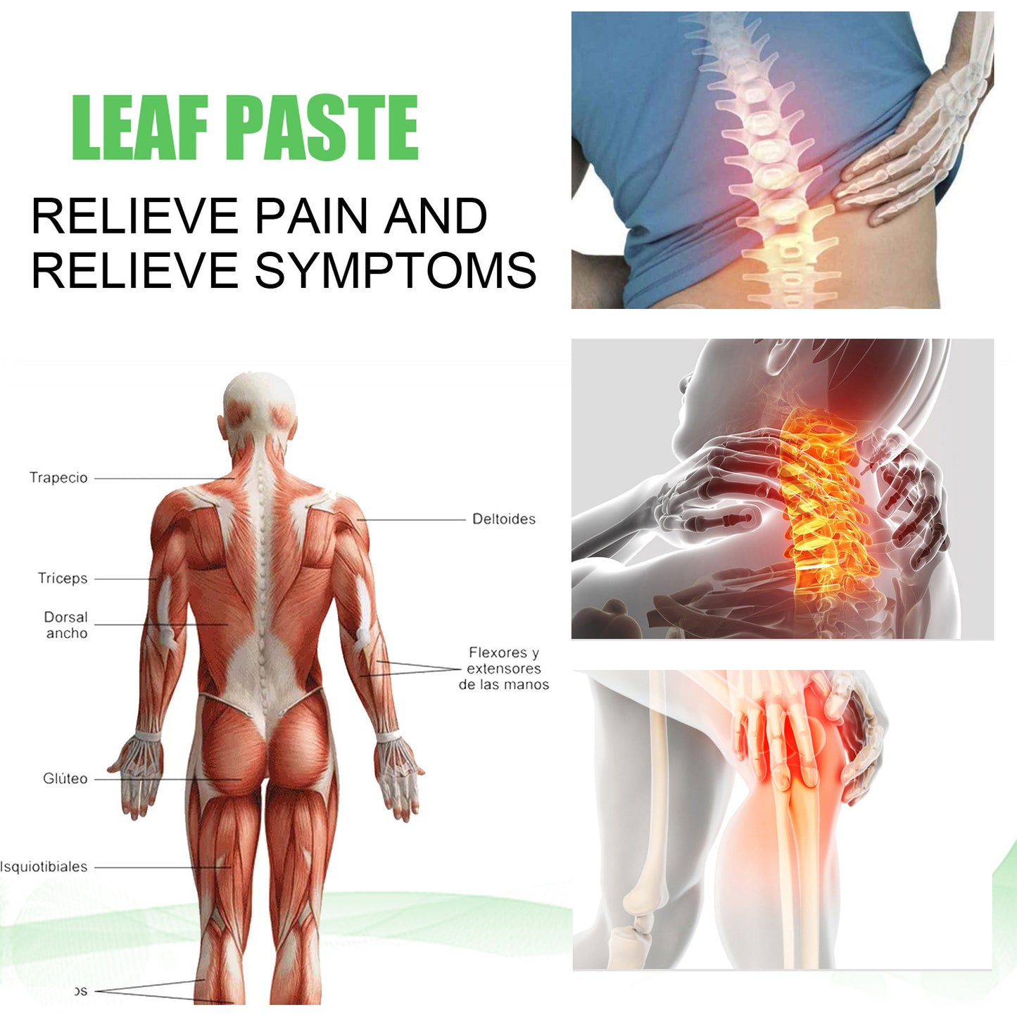 Muscle Pain Relief Cream for Arthralgia and Myalgia - 50g Body Care