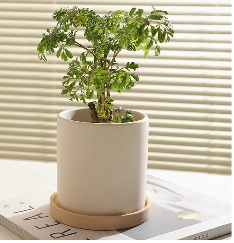 Plain Ceramic Flower Pot - Small to Large Stoneware Planter for Home & Garden