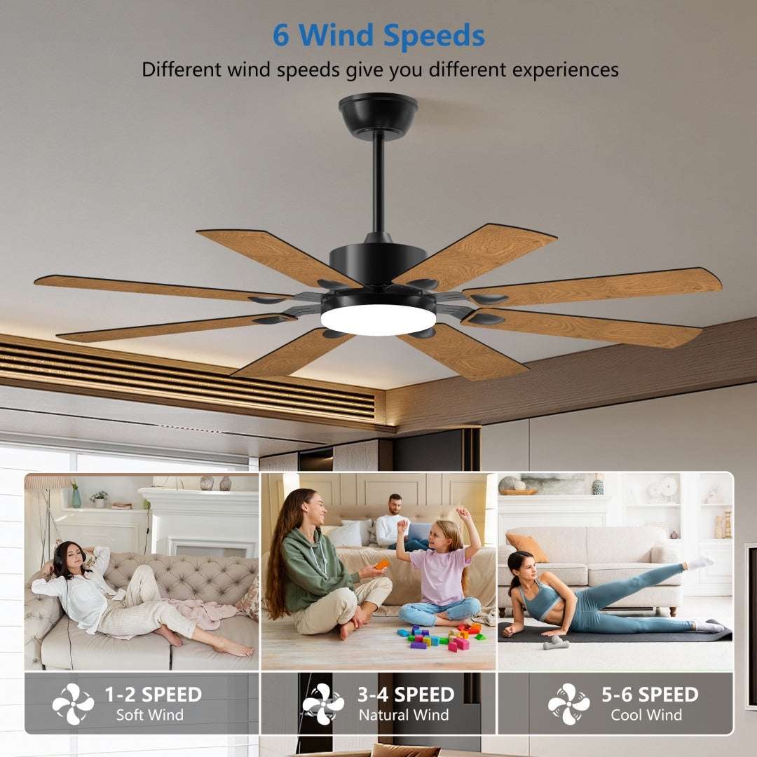 52-Inch Ceiling Fan with Lights and Remote, Reversible DC Motor, 8 Blades, Black