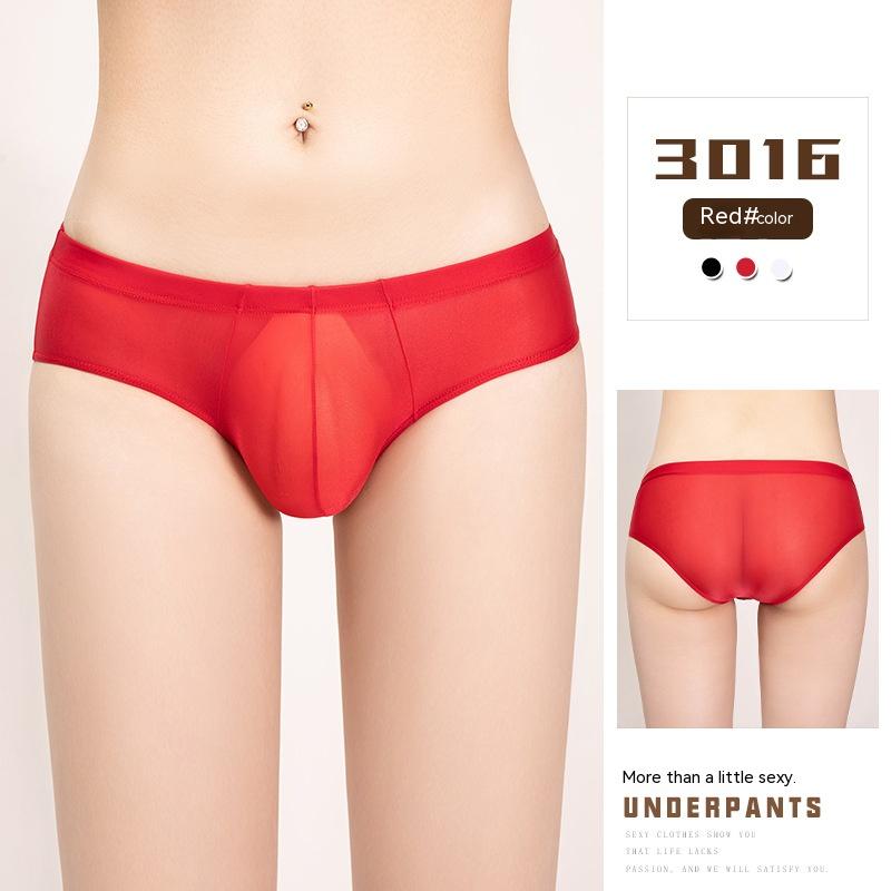 Men's Sheer Low Waist Mesh Panties - Ultra-Thin Nylon Underwear for Men