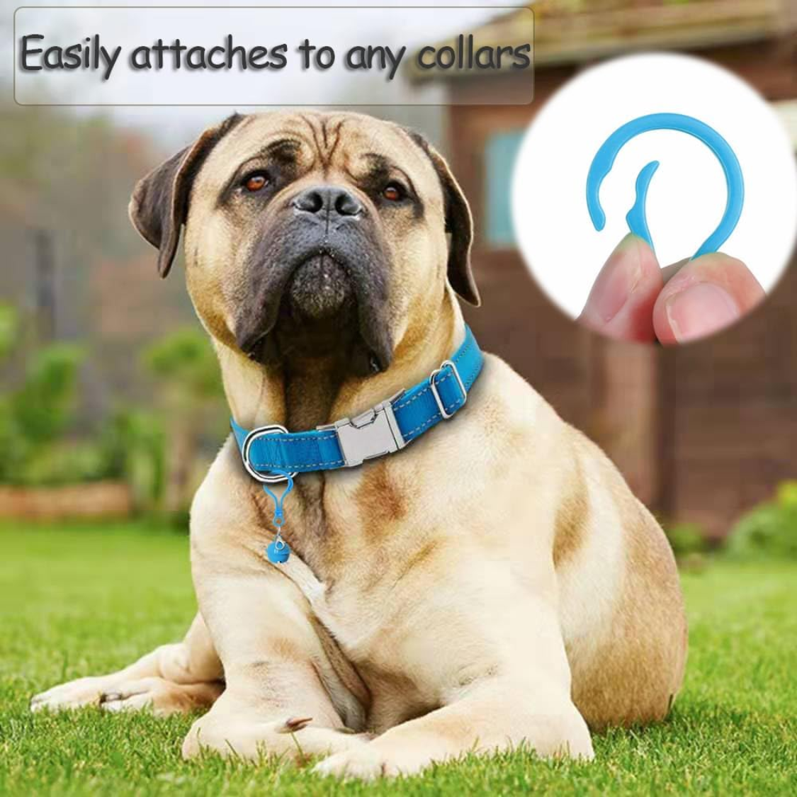 Multicolor Pet Bell Set for Collars - 6 Louder, Crackling Dog & Cat Charms with Clasps
