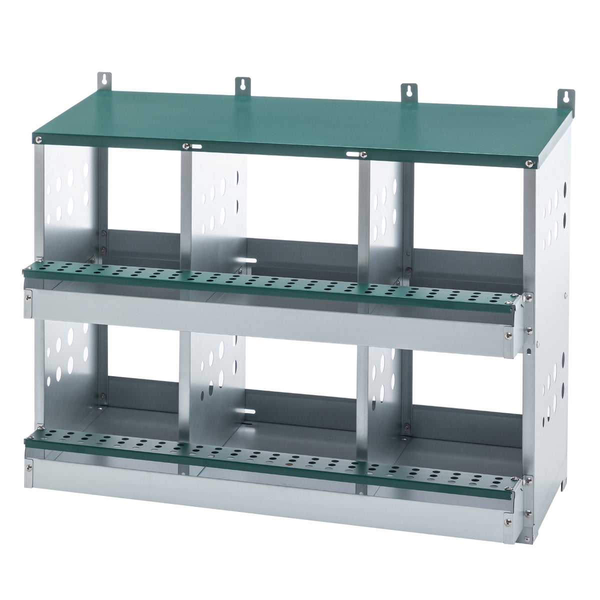 Green Chicken Nesting Box with Roll-Away Egg Collection - 6 Compartments