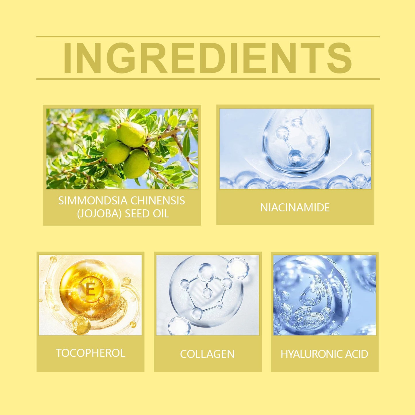 Hydrating Facial Moisturizer with Hyaluronic Acid, Collagen & Jojoba Oil