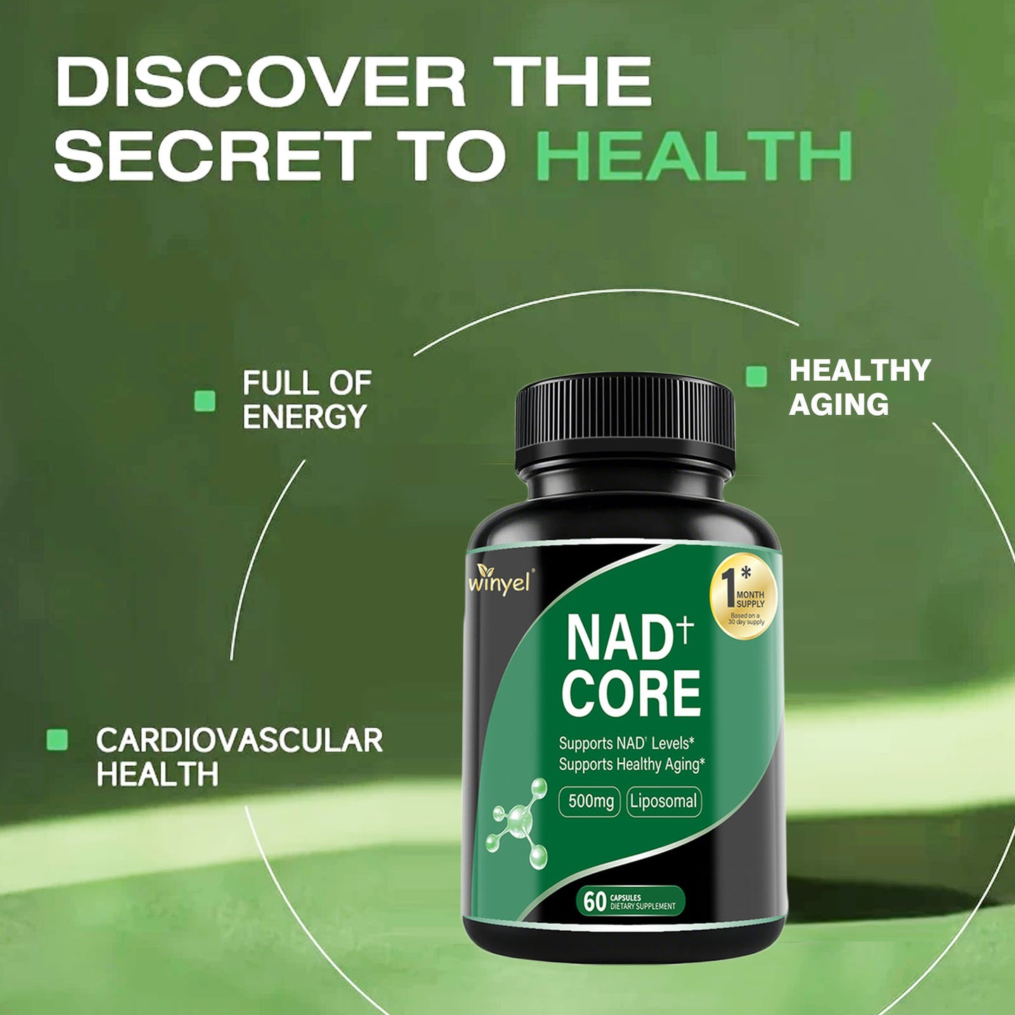 Liposomal NAD+ Enhancer Supplement - 60 Capsules for Energy & Healthy Aging