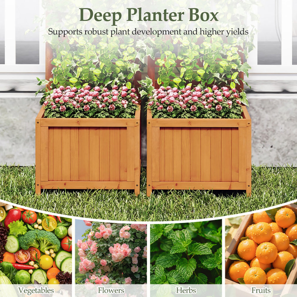 48 Inch Wood Raised Garden Bed with Trellis and Drainage Holes - Orange