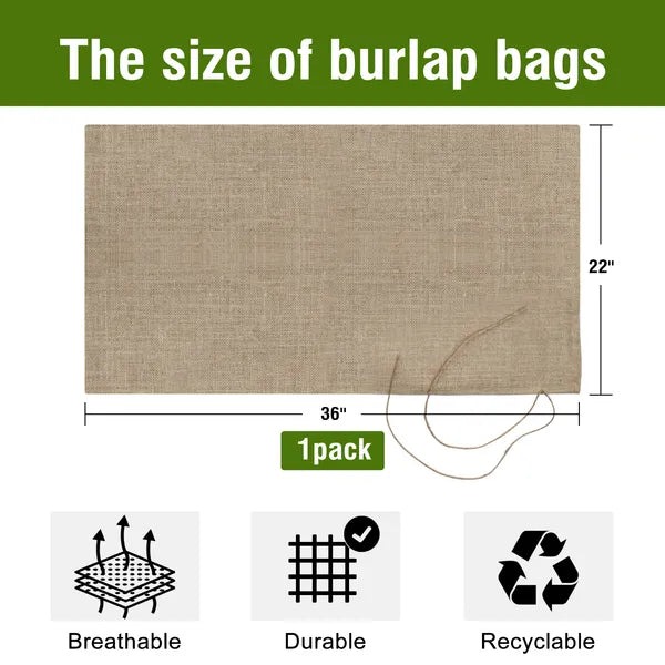Eco-Friendly Jute Food Storage Bag - 22x36 Inches