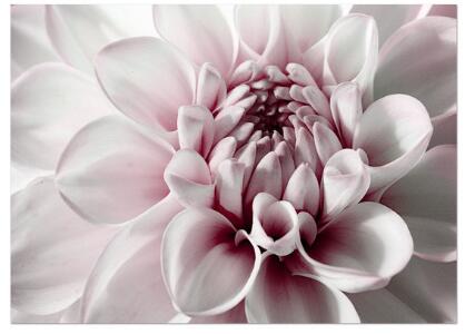 Red Peony Rose Flower Wall Art Diamond Painting Cross Stitch Kit - Handmade Home Decor