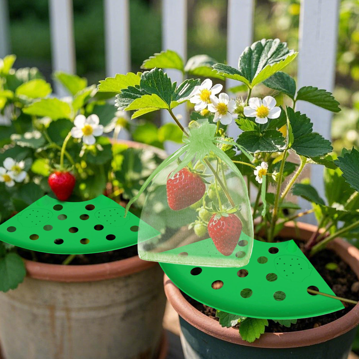 Strawberry Planting Kit with Support Racks and Mesh Bags