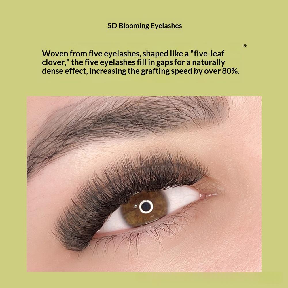 Volume Boost 5D False Eyelashes with Barbie Look Curl - Multiple Sizes & Styles
