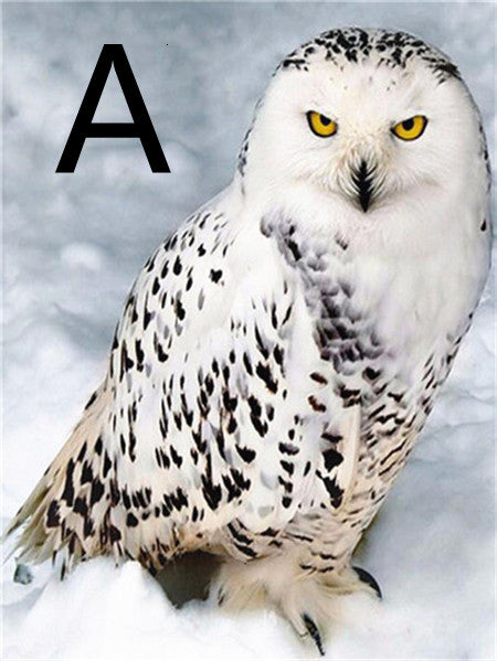 Owl Night Tree Pattern Embroidery Cross Stitch Kit - 5D Diamond Painting