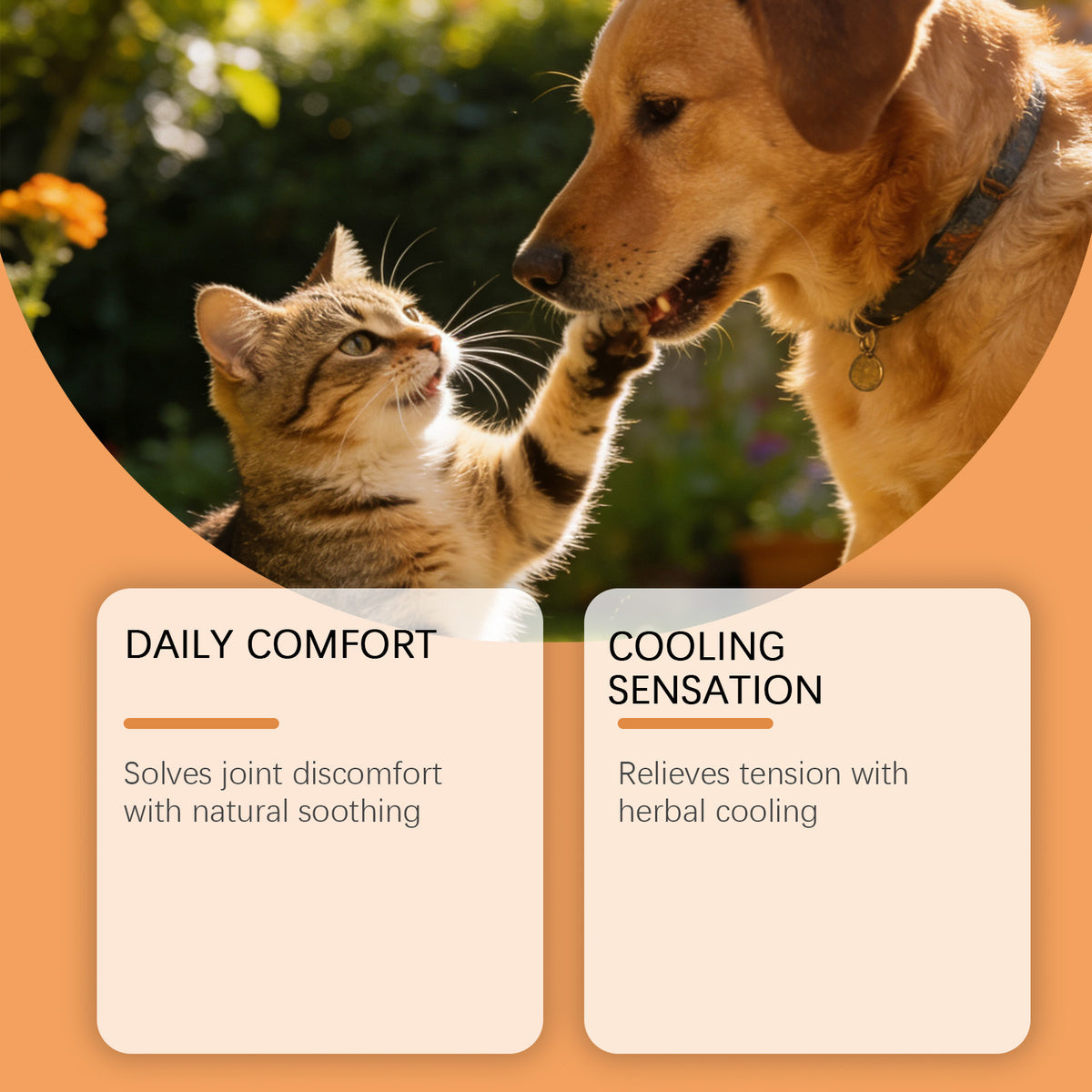 Pet Joint Care Cream 50g - Support Pet Mobility & Joint Health