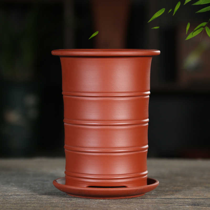 Decorative Flower Pot with Dish Holder for Flowers and Green Plants