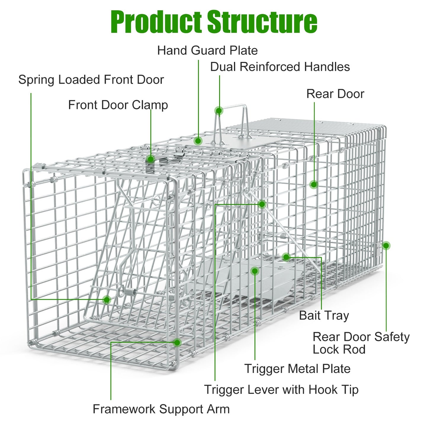 Humane Cat Trap Cage for Raccoons, Beavers & Groundhogs - Collapsible