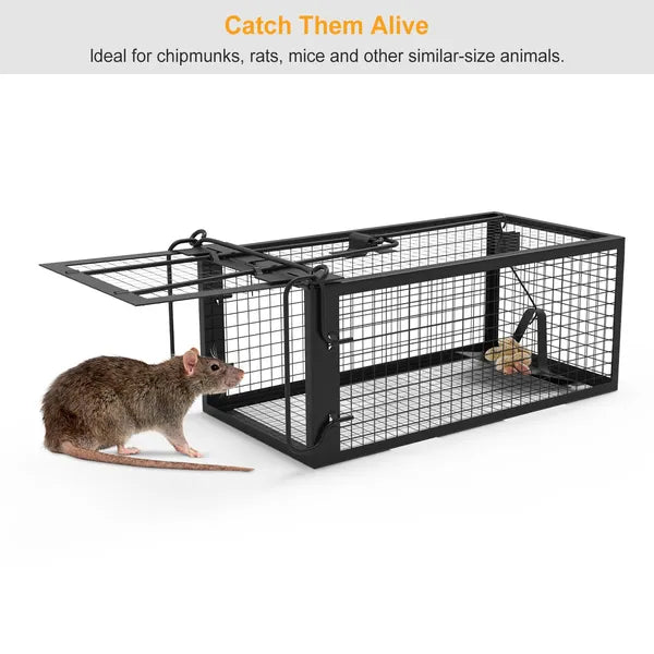 Humane Live Rodent Trap - Galvanized Iron Mouse Cage