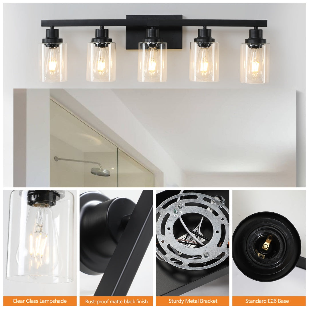 5-Light Black Bathroom Vanity Light Fixture with Glass Shades
