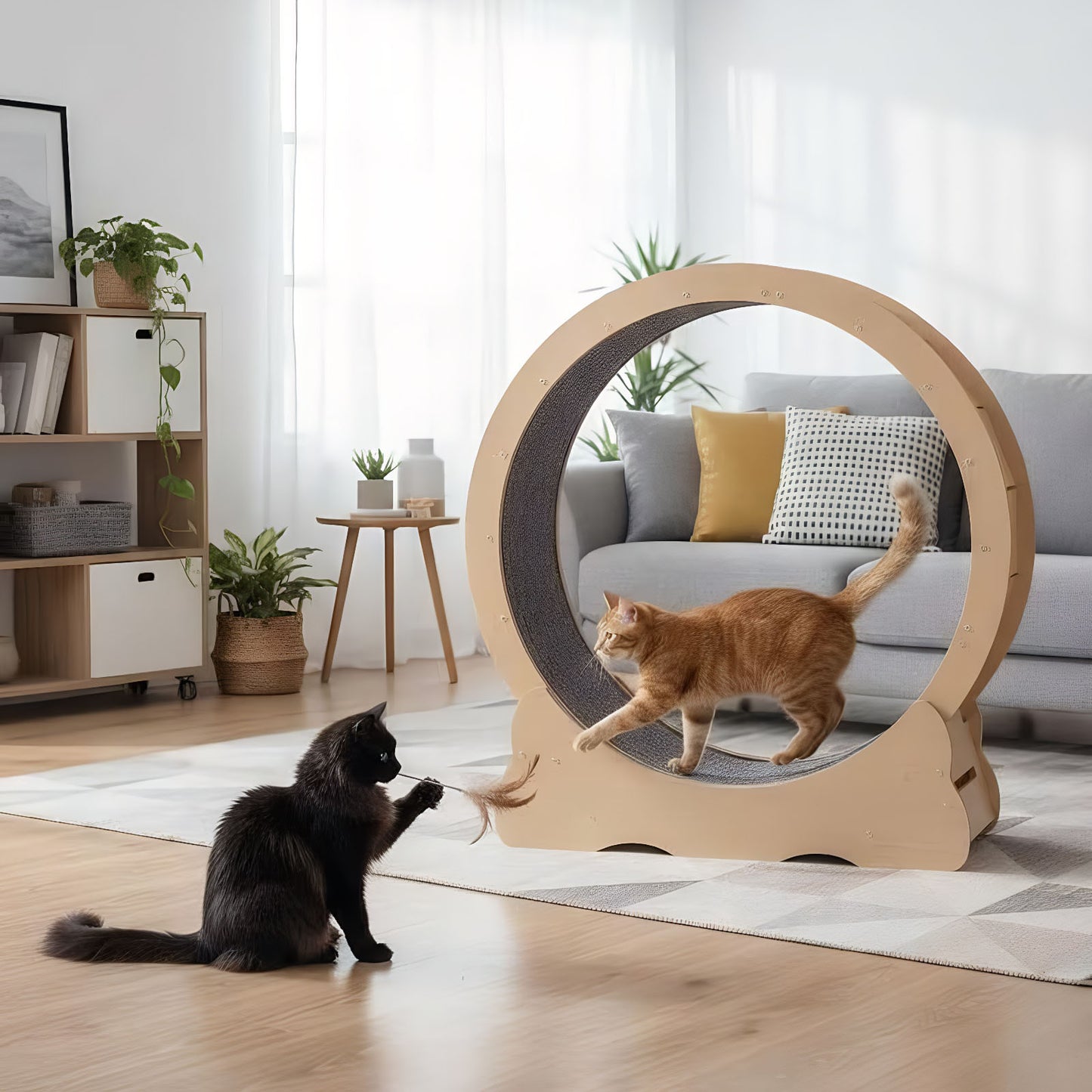 Large Indoor Cat Treadmill with Quiet Running Wheel and Detachable Carpet - Sturdy Exercise Wheel for Cats