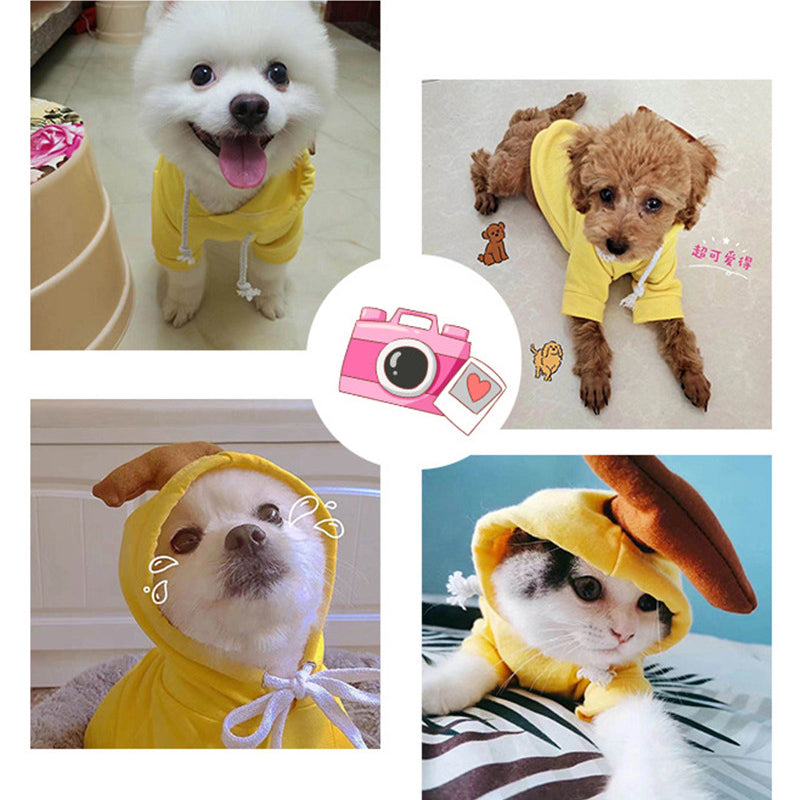 Cute Fruit Dog Hoodie for Small Dogs Winter Warm Fleece Pet Sweater