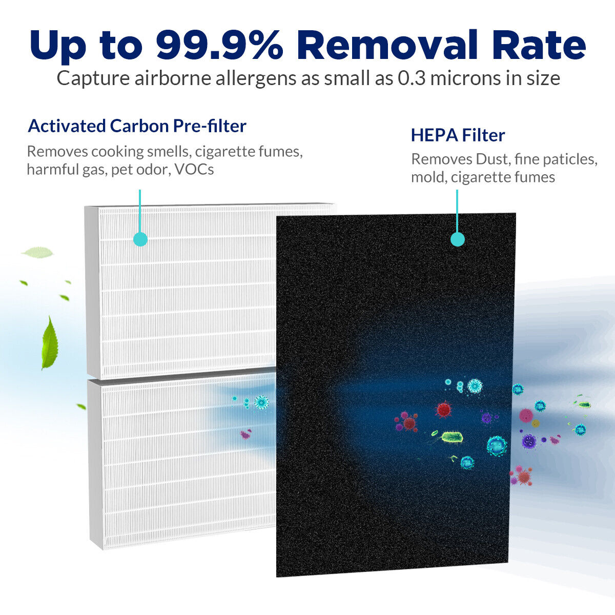 HEPA Filter Replacement for Air Purifiers - 13 Pack, Carbon & Allergy Shield
