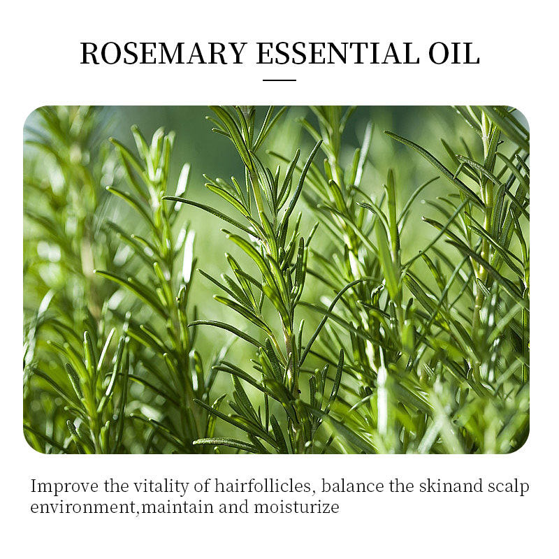 Rosemary Hair Oil - 100ml