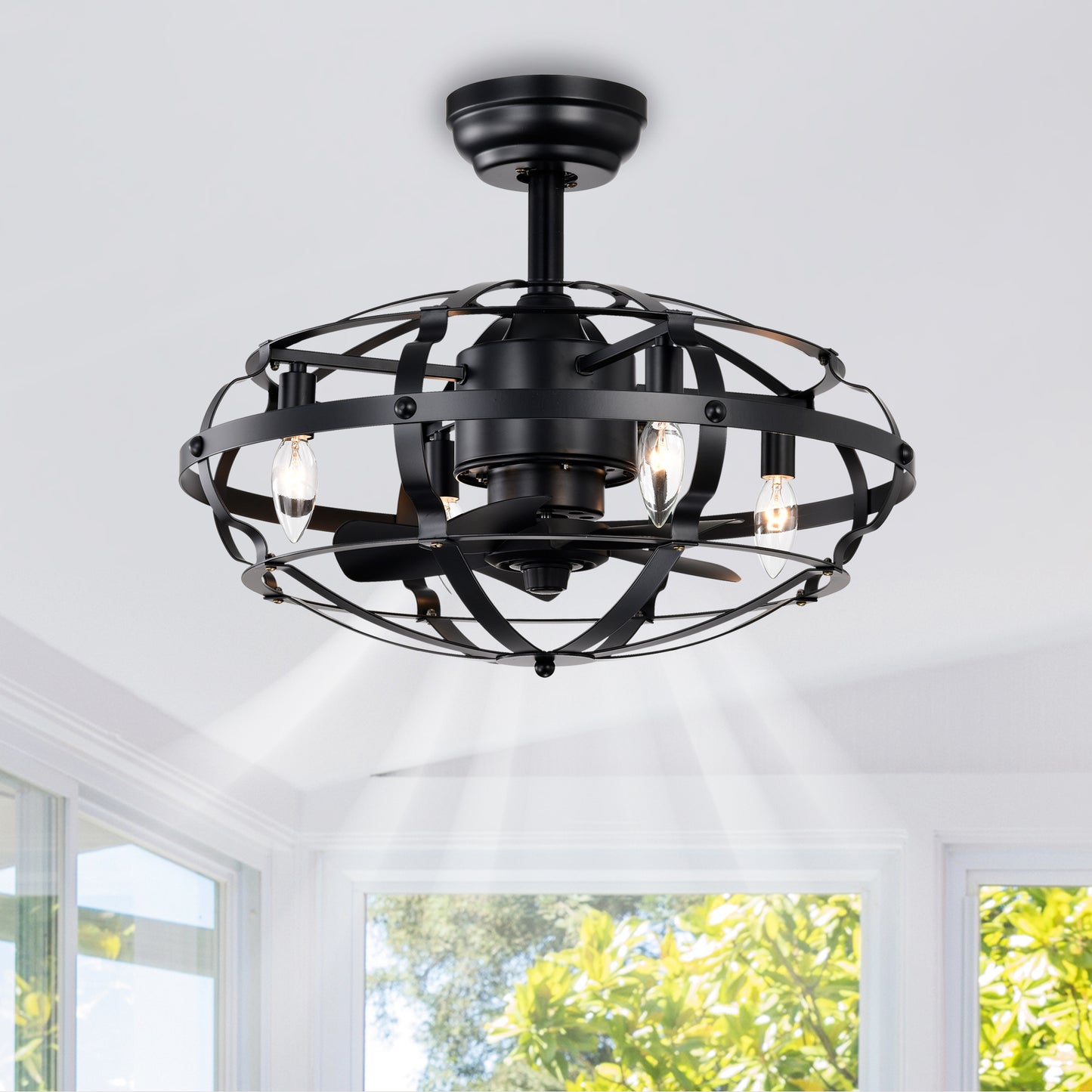 20.63 Inch Matte Black Caged Ceiling Fan with Lights - Farmhouse