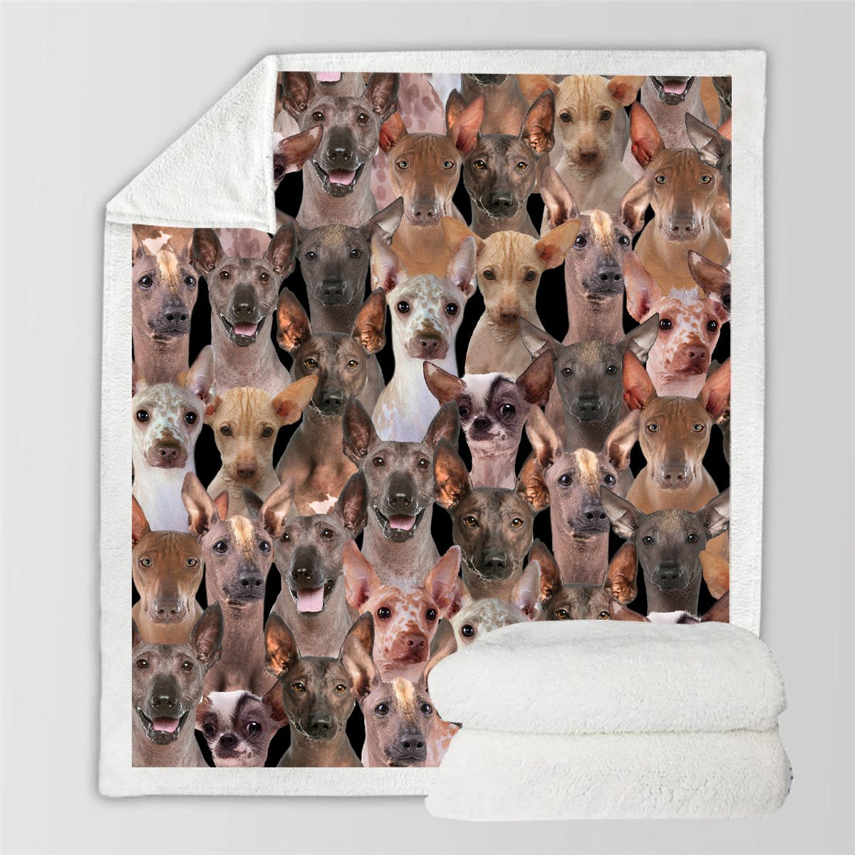 Printed Flannel Pet Dog Blanket - Multiple Sizes & Styles