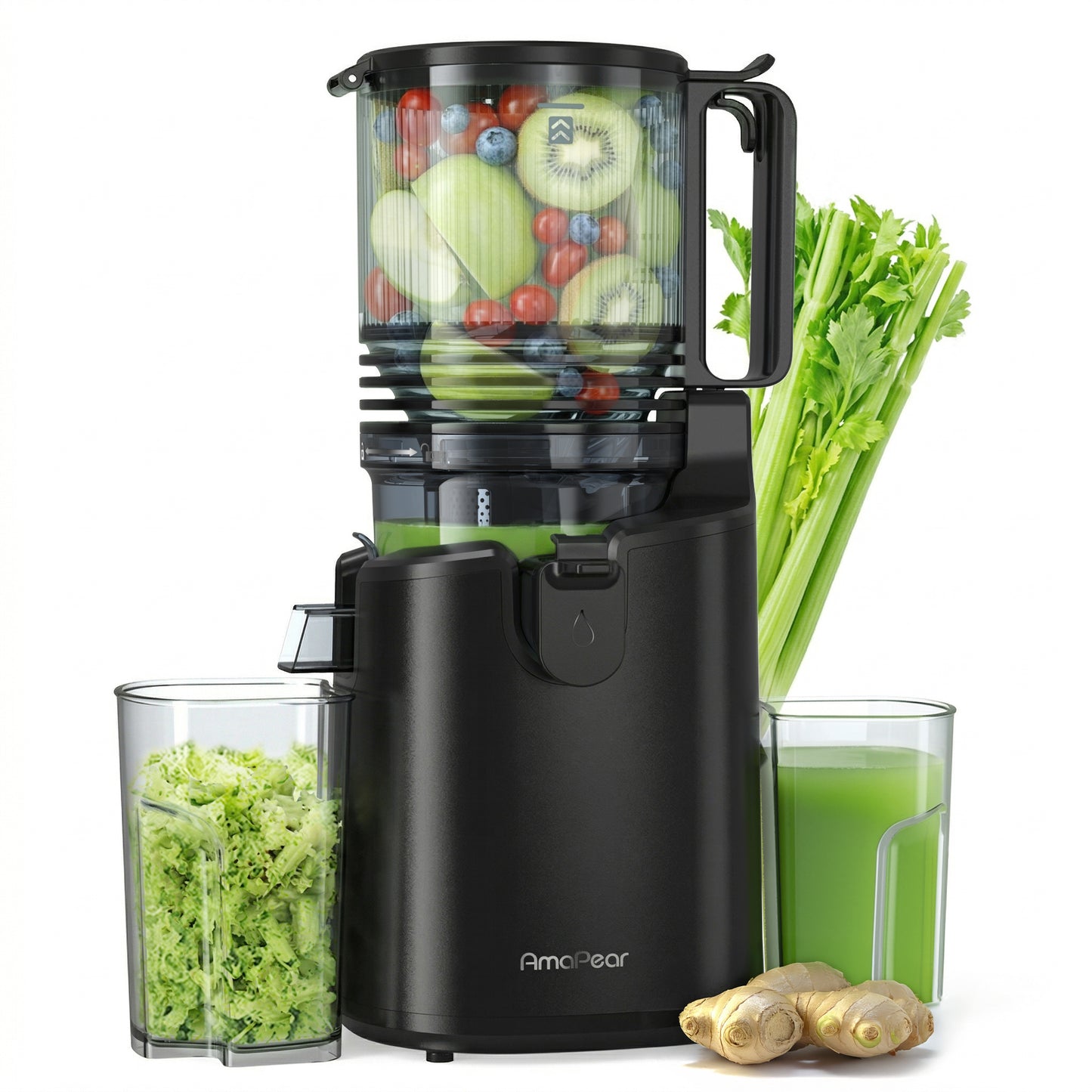 Cold Press Juicer with 6-Inch Wide Feed Chute - Slow Masticating Kitchen Appliance