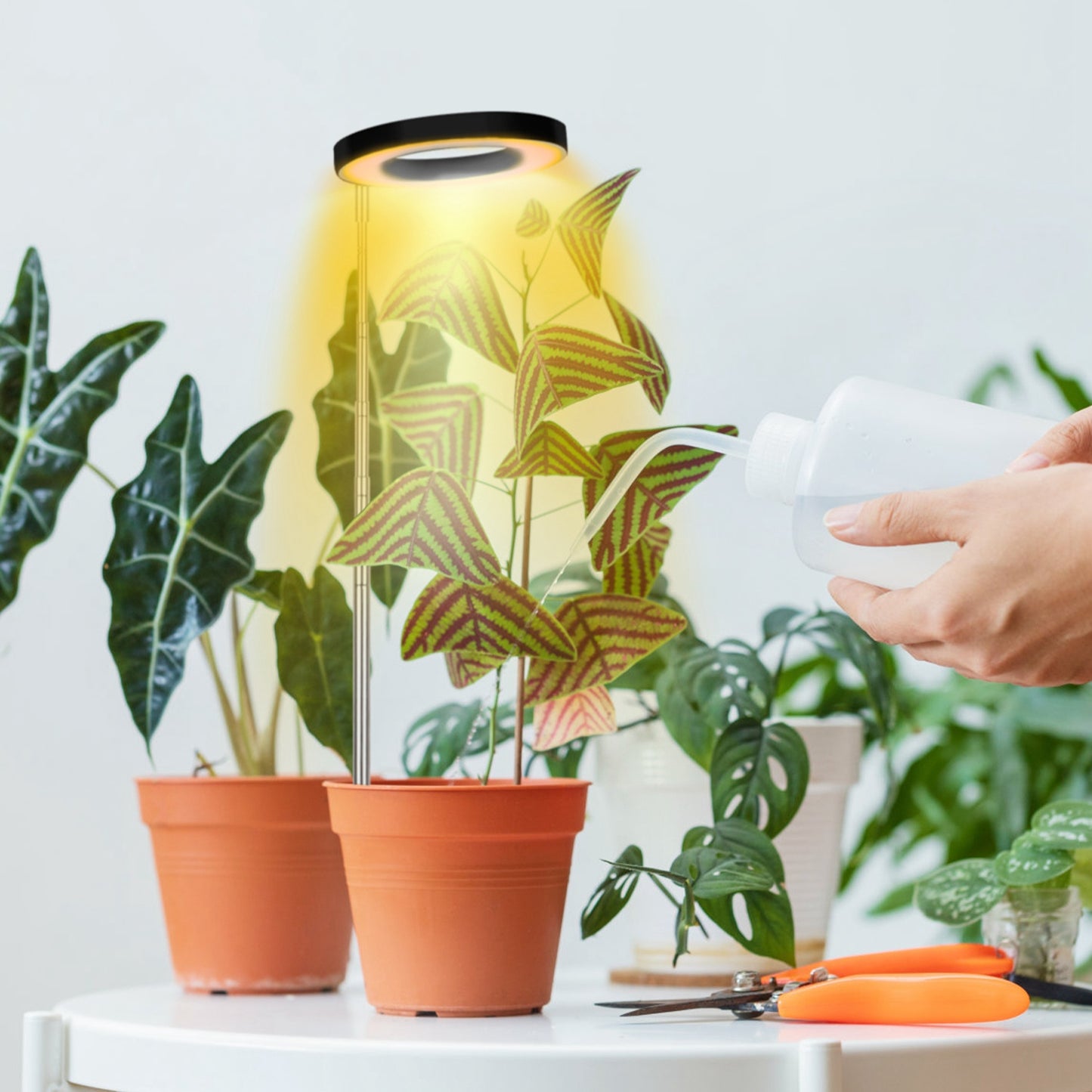 Indoor Plant Grow Light LED Full Spectrum with Auto Timer & Dimmable Brightness