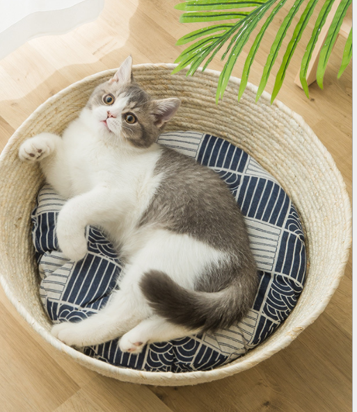 Summer Universal Warm Cat Rattan Bed with Optional Mat - Multiple Sizes & Styles