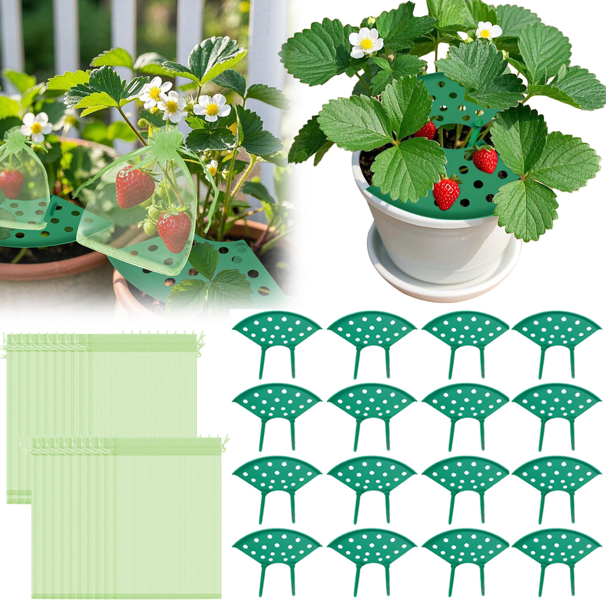 8 Pack Strawberry Plant Supports with Bags Garden Supports Green