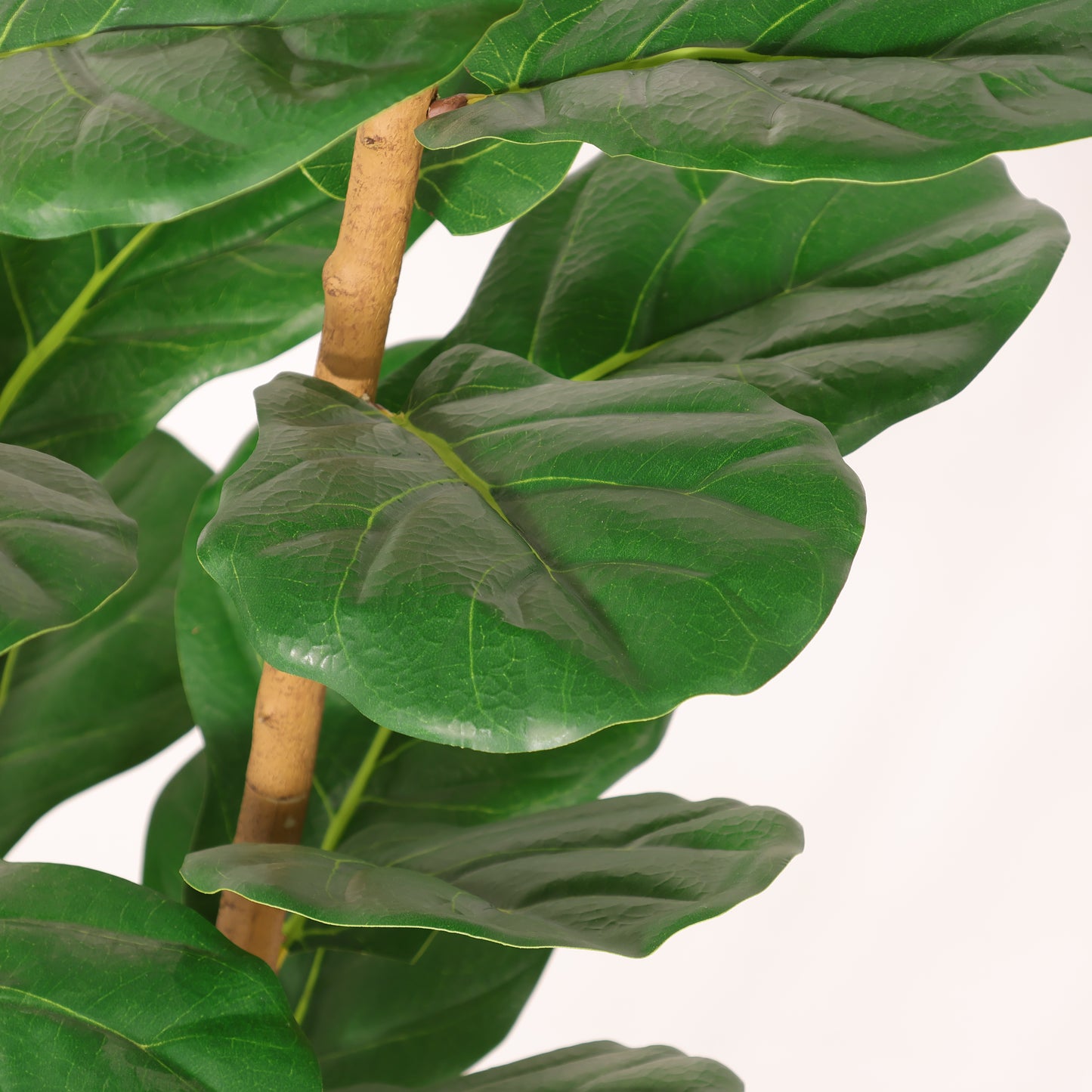 Artificial Fiddle Leaf Fig Tree in White Pot - 63 Inches