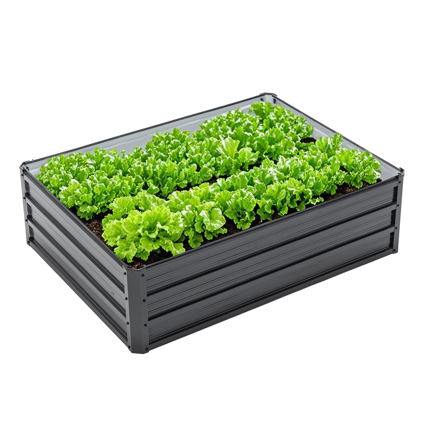 Metal Raised Garden Bed - Galvanized Planter Box 4x3x1 ft - Black