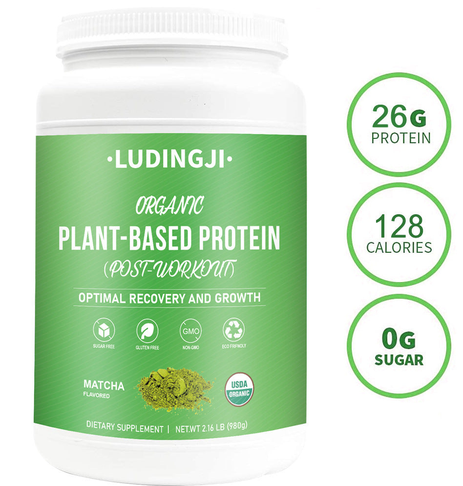 Pure Vegetable Dried Egg White Powder 980g