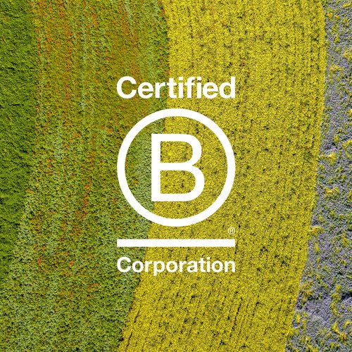 Davines OI Shampoo, 9.47 Fl Oz + All in One Milk, 1.69 Fl Oz | Nourishing Shampoo for All Hair Types | Shine, Volume, and Silky-Smooth Hair Everyday