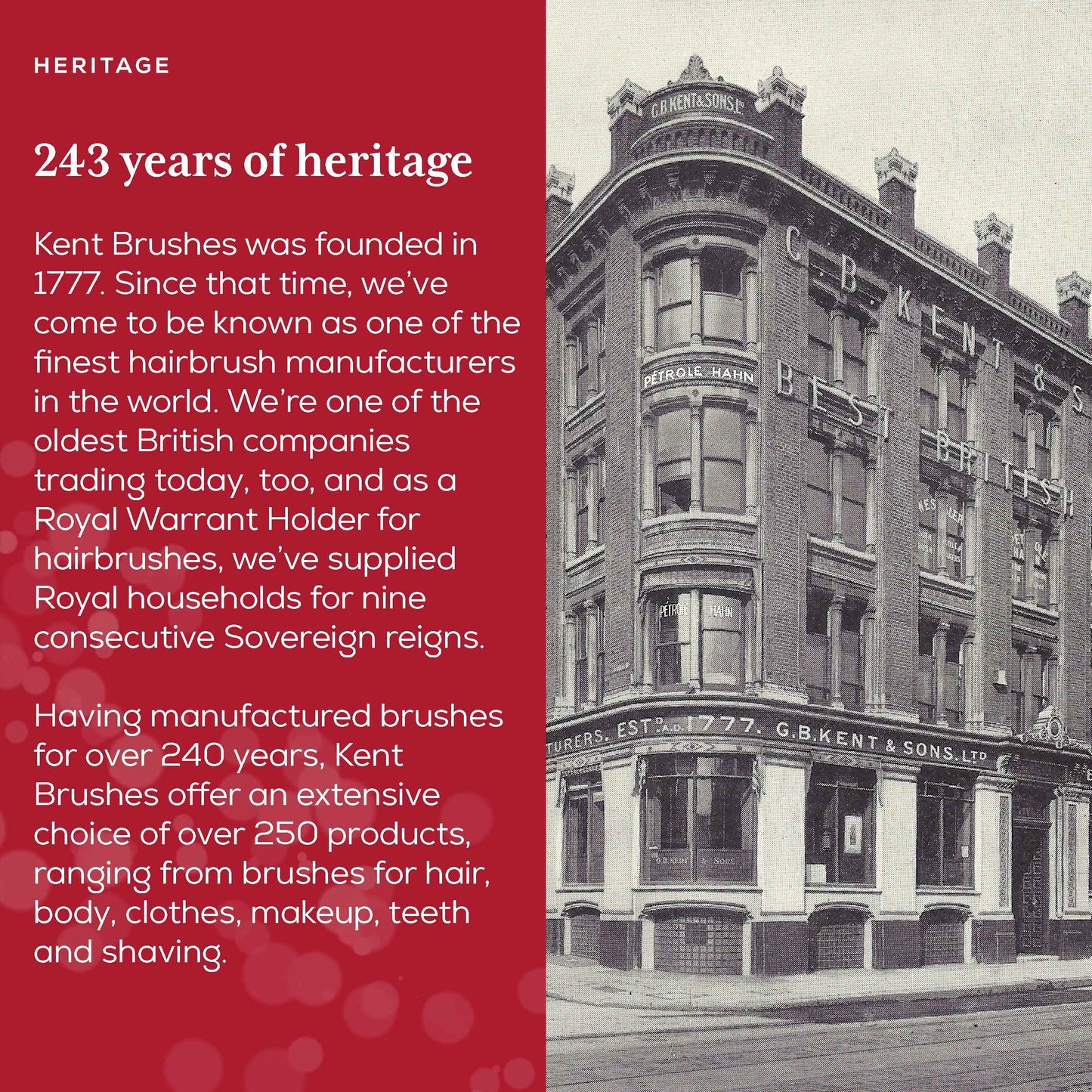 Kent OG4 Rectangular Beachwood Gentlemen's Hair Brush and Facial for Beard Care - Exfoliating Natural Boar Bristle Brush for Mens Grooming, Hair Care, and Beard Straightener for Men's