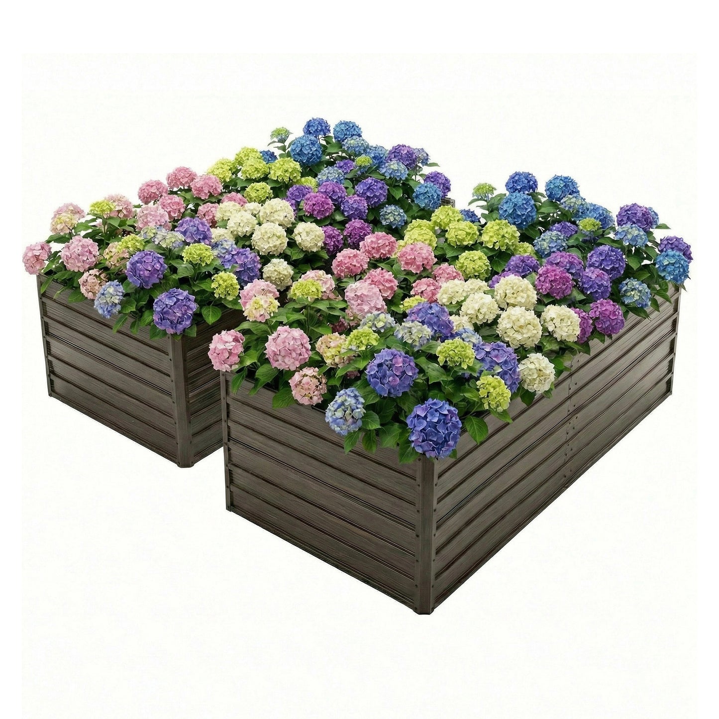 8x4x2 FT Galvanized Raised Garden Bed Set - Walnut Finish