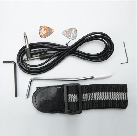 170 Electric Guitar with Bag, Strap, and Accessories - Black