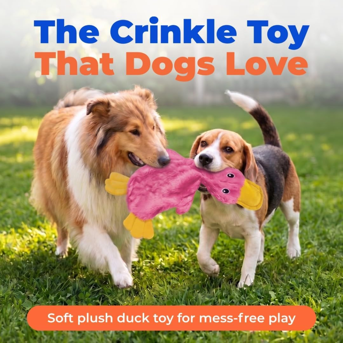 Interactive Dog Chew Toy Set - Squeaky, Crinkle Fun for Small to Large Dogs