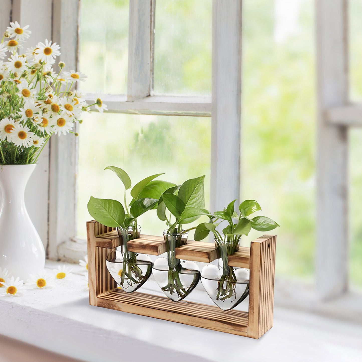 Heart-Shaped Plant Propagation Station with Wooden Stand
