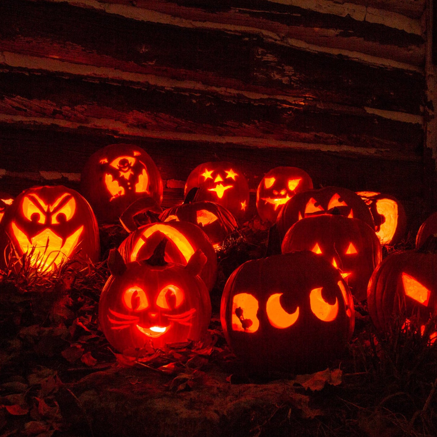 13-Piece Pumpkin Carving Kit - Stainless Steel Tools for Halloween